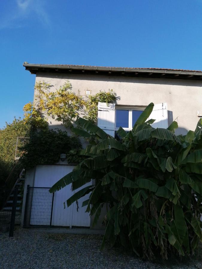 Le Grenier De Gaston Apartment Thouars-sur-Garonne Luaran gambar